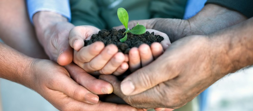 Nachhaltigkeit - Hände halten kleine Pflanze